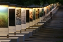 Jan Arthus Bertrand exhibition, Geneva Switzerland